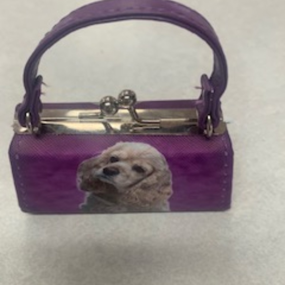 Coin/Kids Purse